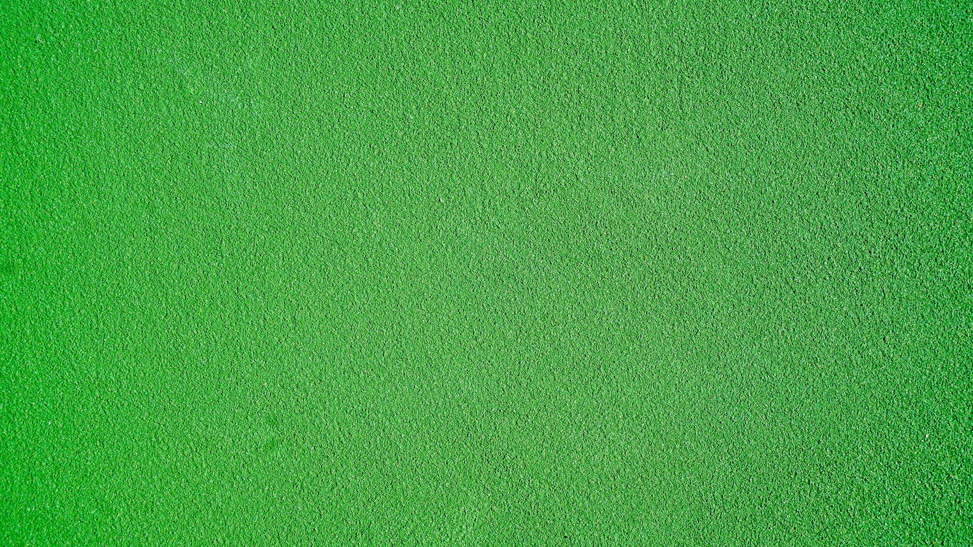 plain green